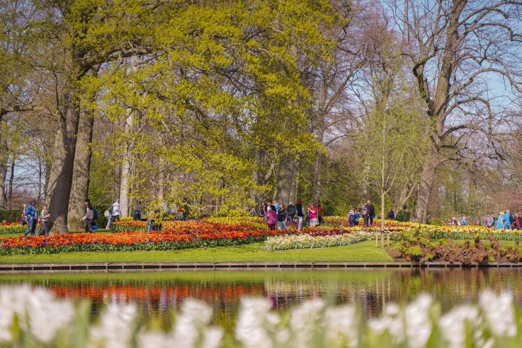 Keukenhof Gardens
